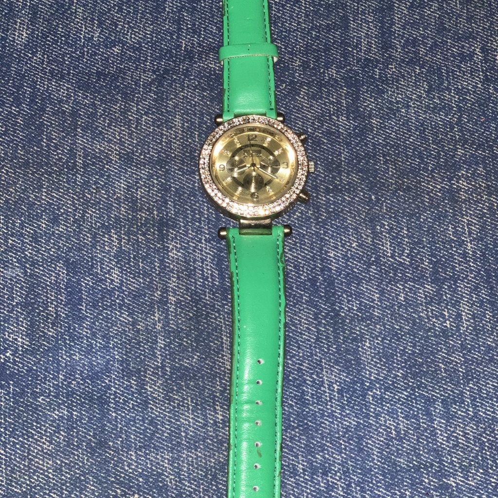 Geneva Watch